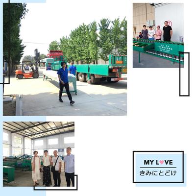 蘋果梨蜜桃選果機